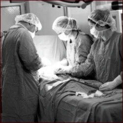 operazione ai reni